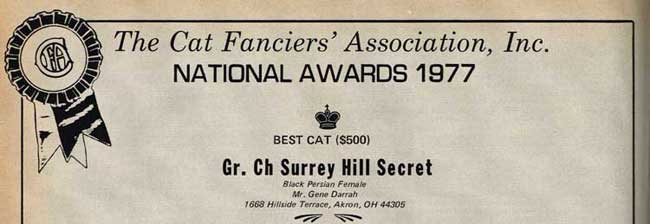 Best Cat - Surrey Hill Secret