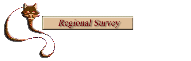 survey