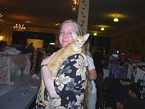 pic29