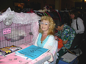 pic31