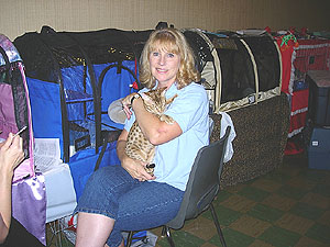 pic33
