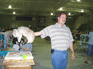 pic39