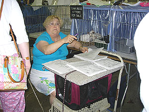 pic99