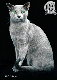 Best Cat in Premiership